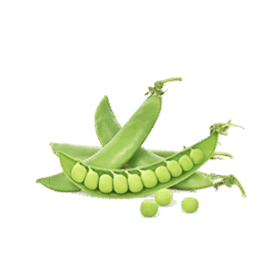 Organic Peas